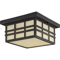 Ceiling Mounted Light 12" Width Ceiling Mounted Light 12" Width