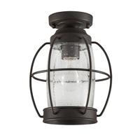 Ceiling Mounted Light 8" Width Ceiling Mounted Light 8" Width