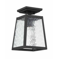 Ceiling Mounted Light 6-3/4" Width Ceiling Mounted Light 6-3/4" Width