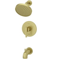 Tub & Shower Faucet Tub & Shower Faucet