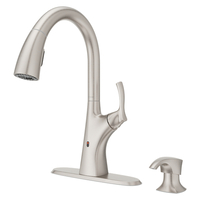 Pull-Out Spray Kitchen Faucet