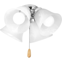 Ceiling Fan Light Kits 4