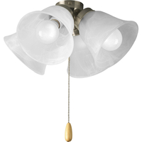 Ceiling Fan Light Kits 4