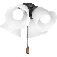 Ceiling Fan Light Kits 4