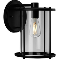 Outdoor Wall Light 11-1/2" Height