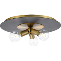Flush Mount Ceiling Light 18" Width