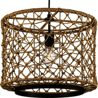 Mini-Pendant 16" Width