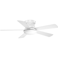 Large Ceiling Fan
