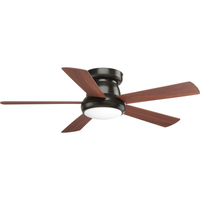 Large Ceiling Fan