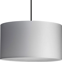 Multi Light Pendant 18-3/25" Width