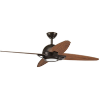 Large Ceiling Fan