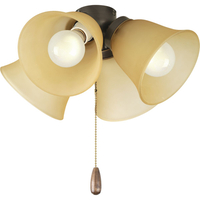 Ceiling Fan Light Kits 4