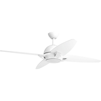 Large Ceiling Fan