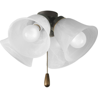 Ceiling Fan Light Kits 4