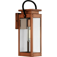 Outdoor Wall Light 15-7/8" Height
