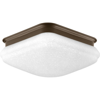 Flush Mount Ceiling Light 9-1/2" Width