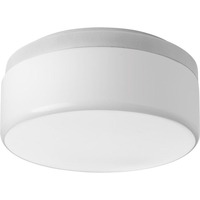 Flush Mount Ceiling Light 9-1/16" Width