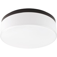 Flush Mount Ceiling Light 14" Width