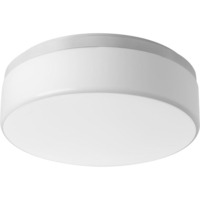 Flush Mount Ceiling Light 14" Width