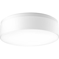 Flush Mount Ceiling Light 18" Width