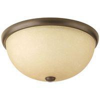 Flush Mount Ceiling Light 14" Width