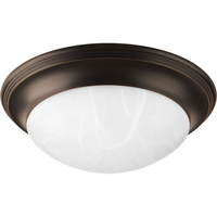 Flush Mount Ceiling Light