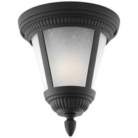 Ceiling Mounted Light 9" Width Ceiling Mounted Light 9" Width