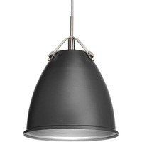 Down Light Pendant 10" Width Down Light Pendant 10" Width