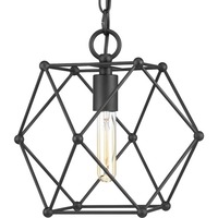 Down Light Pendant 12" Width