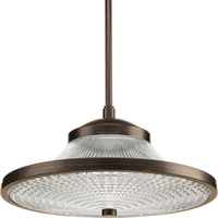 Down Light Pendant Down Light Pendant