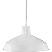 Down Light Pendant Down Light Pendant