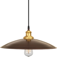 Down Light Pendant Down Light Pendant