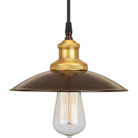 Down Light Pendant Down Light Pendant