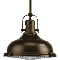 Down Light Pendant 16" Width Down Light Pendant 16" Width