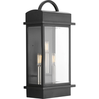 Outdoor Wall Light 19-5/8" Height
