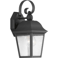 Outdoor Wall Light 12-7/8" Height