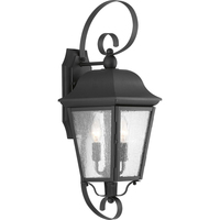 Outdoor Wall Light 21-7/8" Height