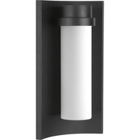Outdoor Wall Light 13-1/2" Height