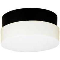 Ceiling Mounted Light 12" Width Ceiling Mounted Light 12" Width