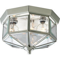 Ceiling Mounted Light 9-3/4" Width Ceiling Mounted Light 9-3/4" Width