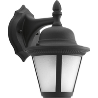 Outdoor Wall Light 10-1/4" Height Outdoor Wall Light 10-1/4" Height