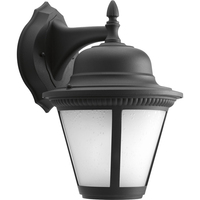 Outdoor Wall Light 15-3/8" Height