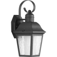 Outdoor Wall Light 13-3/8" Height