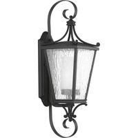 Outdoor Wall Light 24-3/4" Height