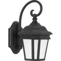 Outdoor Wall Light 12-1/2" Height