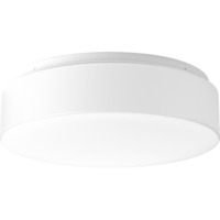 Flush Mount Ceiling Light 13-5/8" Width