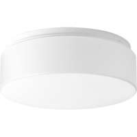 Flush Mount Ceiling Light 11-1/8" Width