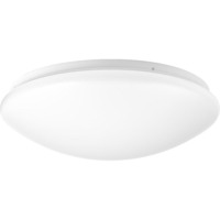 Flush Mount Ceiling Light 13-5/8" Width