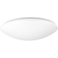Flush Mount Ceiling Light 17" Width