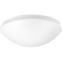 Flush Mount Ceiling Light 10-5/8" Width